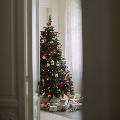 Decoración De Navidad | Decoración Navidad | Casa Viva ®